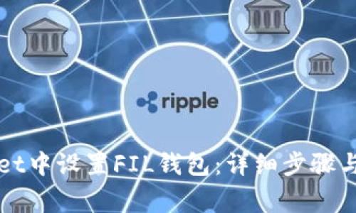 如何在tpWallet中设置FIL钱包:详细步骤与常见问题解答