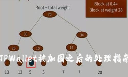 TPWallet被加固之后的处理指南