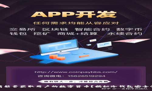 冷钱包制造商能否获取用户的数字货币?揭秘冷钱包安全性与隐私保护