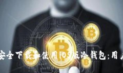 如何安全下载和使用iOS版冷钱包:用户指南