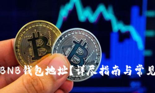 如何查看BNB钱包地址?详尽指南与常见问题解答
