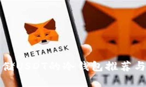最适合存储USDT的冷钱包推荐与使用指南