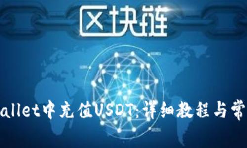 如何在tpWallet中充值USDT：详细教程与常见问题解答