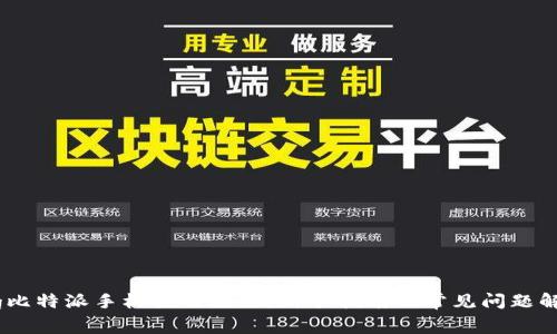 big比特派手机使用教程:新手指南及常见问题解答