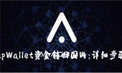 如何将tpWallet资金转回国内：详细步骤与指南