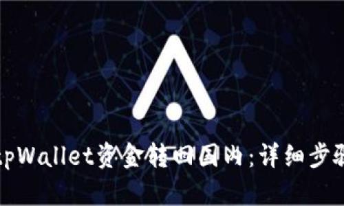 如何将tpWallet资金转回国内：详细步骤与指南