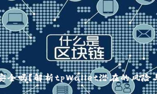 tpWallet安全吗?解析tpWallet潜在的风险与防护措施