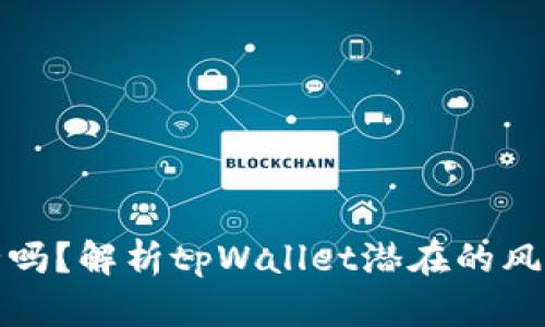 tpWallet安全吗?解析tpWallet潜在的风险与防护措施