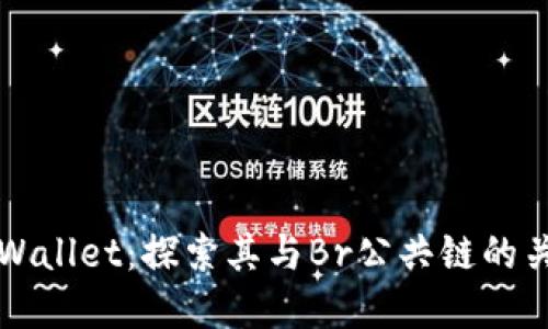 TPWallet：探索其与Br公共链的关系