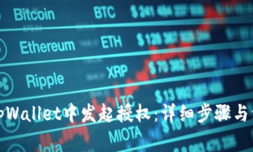 如何在tpWallet中发起授权:详细步骤与注意事项