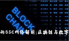 div    TP Wallet的BSC网络解析：区块链与数字资产管