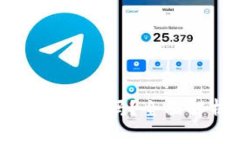 tpWallet在中国能用吗？全面解析与实用指南