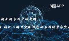   2023年黑金冷钱包全解析：安全、便捷与投资新