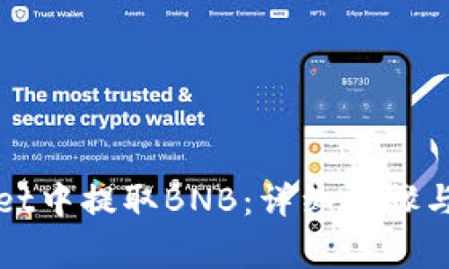如何在tpWallet中提取BNB:详细步骤与常见问题解答