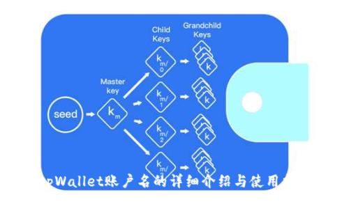 tpWallet账户名的详细介绍与使用指南
