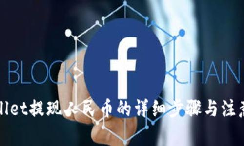 tpWallet提现人民币的详细步骤与注意事项