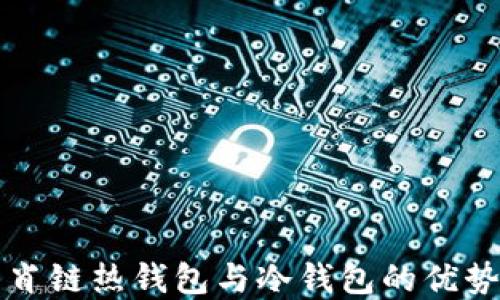 
深入探讨生肖链热钱包与冷钱包的优势与选择指南