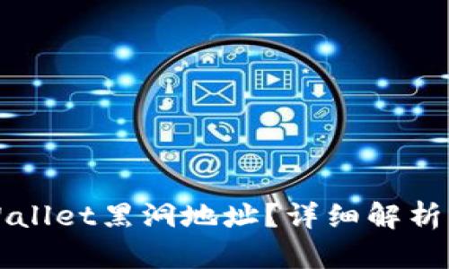 什么是tpWallet黑洞地址?详细解析与使用指南