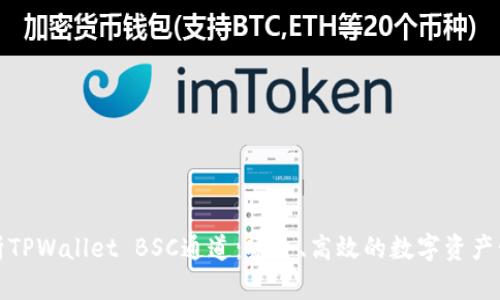 全面解析TPWallet BSC通道:安全、高效的数字资产管理工具