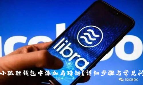 如何在小狐狸钱包中添加马蹄链?详细步骤与常见问题解析