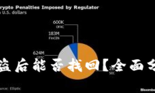 tpWallet币被盗后能否找回?全面分析与解决方案