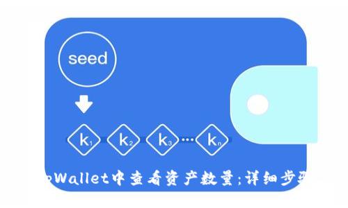 如何在tpWallet中查看资产数量:详细步骤与技巧