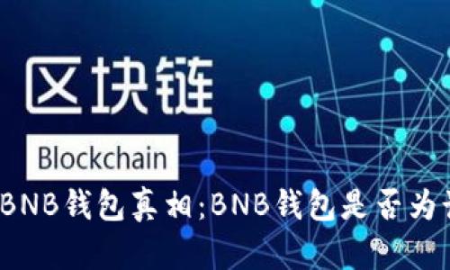 揭开BNB钱包真相：BNB钱包是否为诈骗？