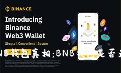 揭开BNB钱包真相：BNB钱包是否为诈骗？
