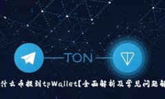 为什么币提到tpWallet？全面解析及常见问题解答