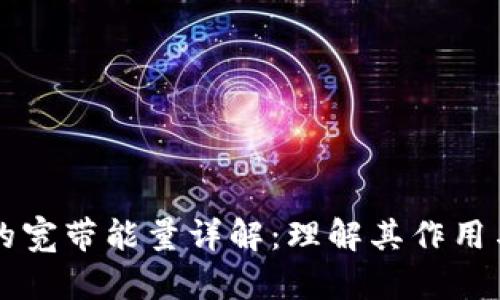 tpWallet的宽带能量详解:理解其作用与应用场景
