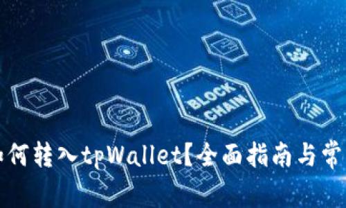 所有币种如何转入tpWallet?全面指南与常见问题解答