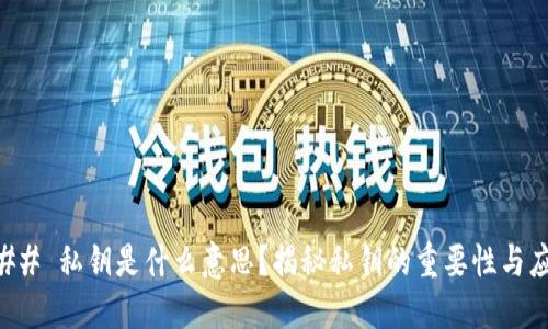 ### 私钥是什么意思?揭秘私钥的重要性与应用