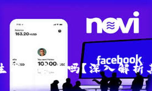 : TPWallet的私钥生成器安全吗？深入解析其安全性与使用建议