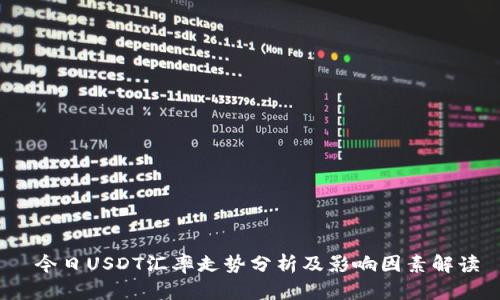  今日USDT汇率走势分析及影响因素解读