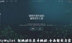 转到 tpWallet 链地址还是币地址：全面解析与实用