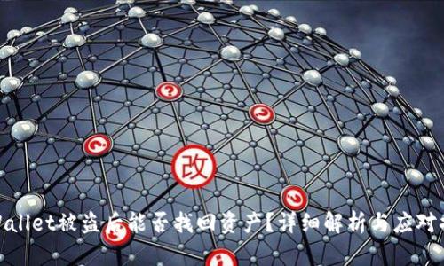 tpWallet被盗后能否找回资产？详细解析与应对措施