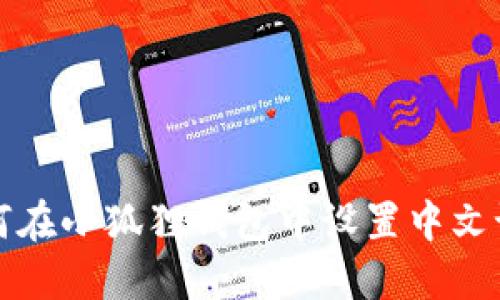 如何在小狐狸钱包中设置中文语言