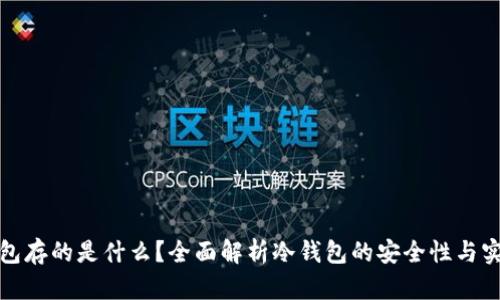 冷钱包存的是什么？全面解析冷钱包的安全性与实用性