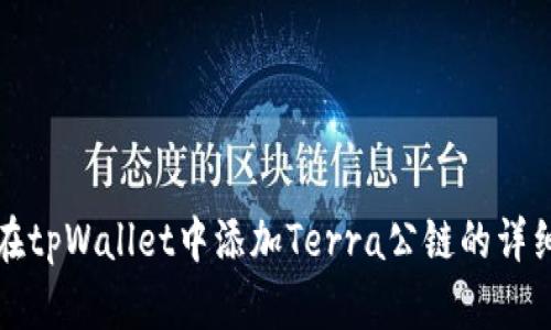 如何在tpWallet中添加Terra公链的详细指南