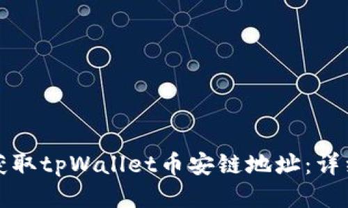 如何获取tpWallet币安链地址：详细指南