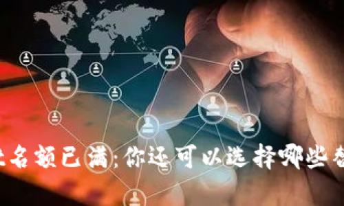 tpWallet名额已满：你还可以选择哪些替代方案？