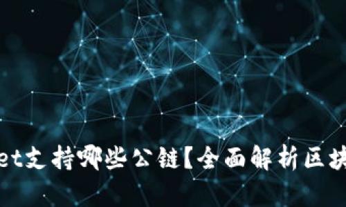 tpWallet支持哪些公链？全面解析区块链生态