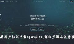 苹果用户如何下载tpWallet：详细步骤与注意事项