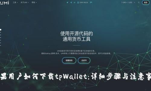 苹果用户如何下载tpWallet：详细步骤与注意事项