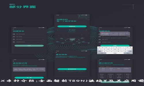 TRX币种介绍：全面解析TRON（波场）及其应用前景