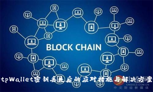 tpWallet密钥丢失后的应对措施与解决方案