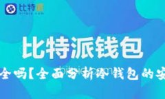 PT钱包冷钱包安全吗？全面分析冷钱包的安全性与