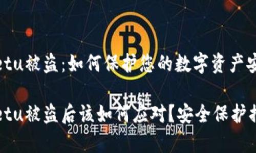 tpWalletu被盗：如何保护您的数字资产安全

tpWalletu被盗后该如何应对？安全保护措施详解