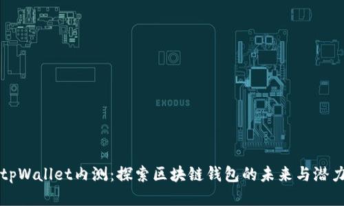 tpWallet内测：探索区块链钱包的未来与潜力