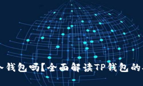 tpWallet是冷钱包吗？全面解读TP钱包的安全性与分类